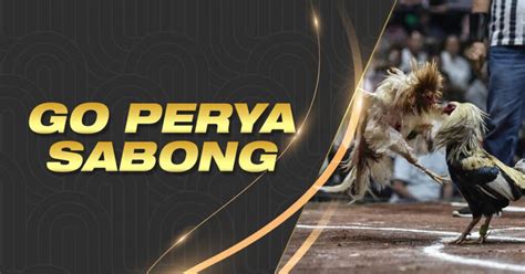 colorperya sabong|Color Perya Sabong International .